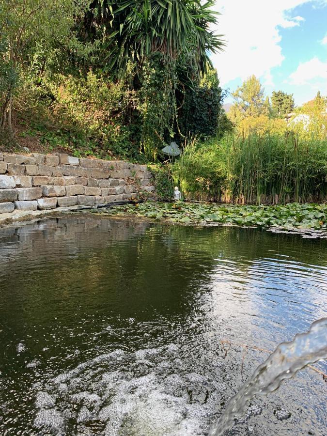 A Natural Retreat ميخاس المظهر الخارجي الصورة